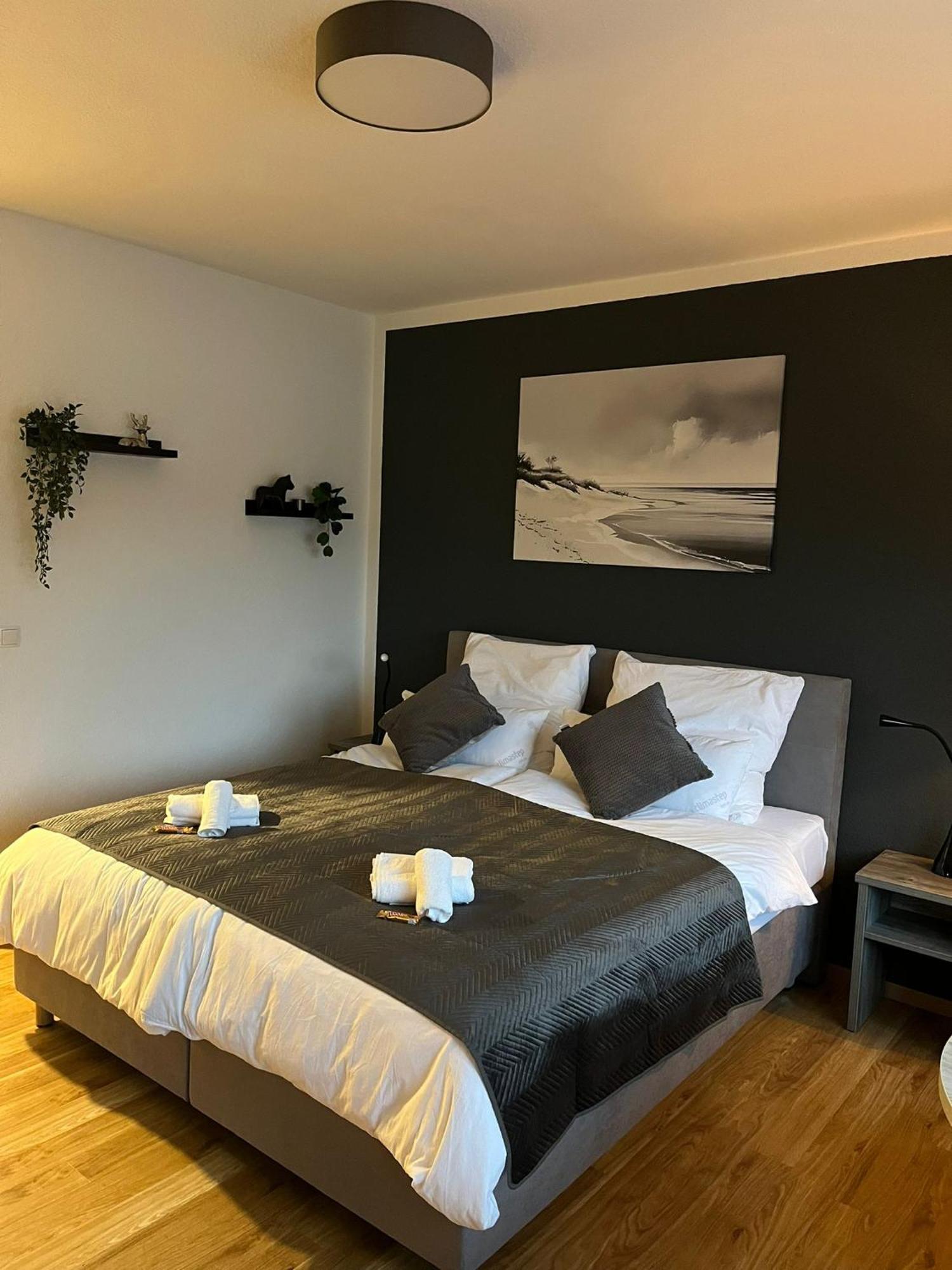 Rheinpanorama Suite Mit Balkon コブレンツ エクステリア 写真